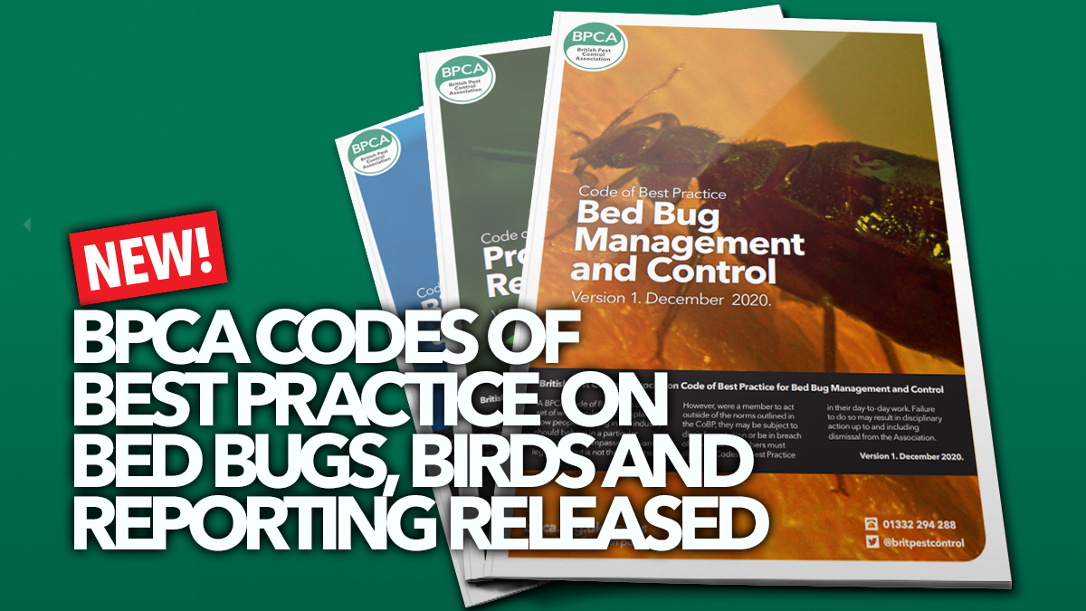 Pest-control-codes-of-best-practice